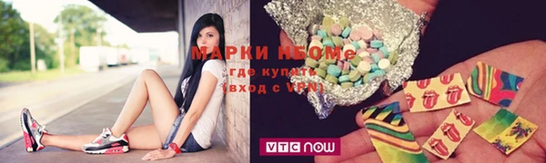 шишки Абаза
