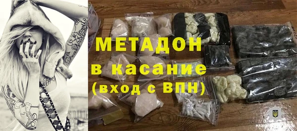 шишки Абаза