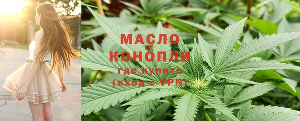 шишки Абаза