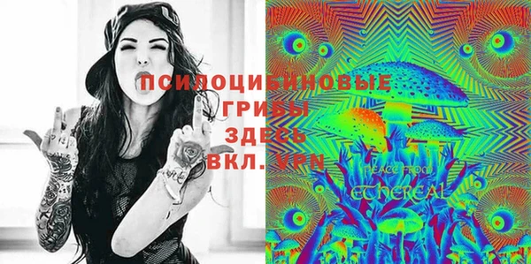 шишки Абаза